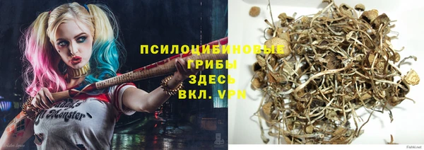 бошки Алзамай