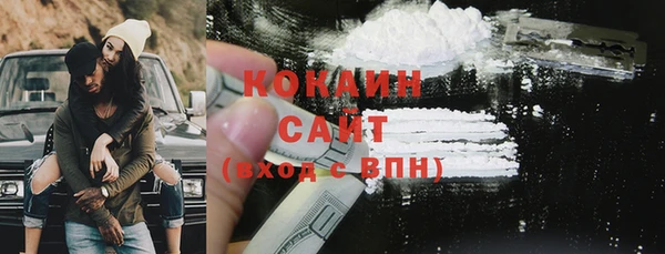 шишки Алексин