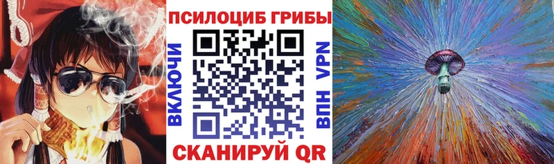 Псилоцибиновые грибы Cubensis  сколько стоит  omg ТОР  Тотьма 